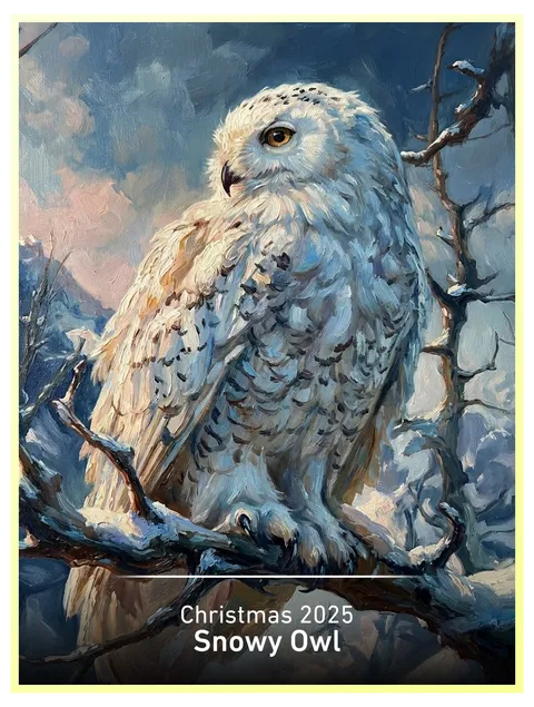 Snowy Owl